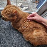 orange cat bracelet