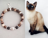Siamese cat
