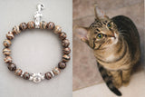 tabby cats