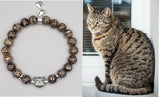 Tabby cat