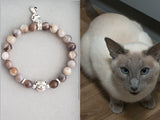 Siamese cat