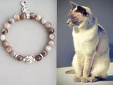 Siamese cat blue point