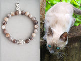 Siamese cats
