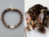 Bengal kitten