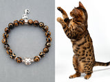Bengal cat