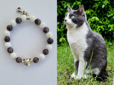 grey and white cat