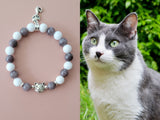 smokey gray cats