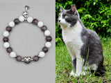 gray white cat