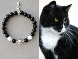 tuxedo cat