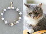 silver tabby cat