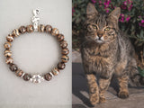 tabby cat