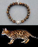 Bengal cat