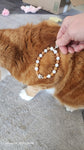 Orange White Cat Bracelet