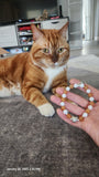 Orange White Cat Bracelet