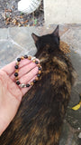 tortoiseshell kitty