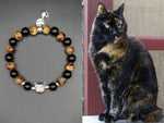 tortoiseshell cat